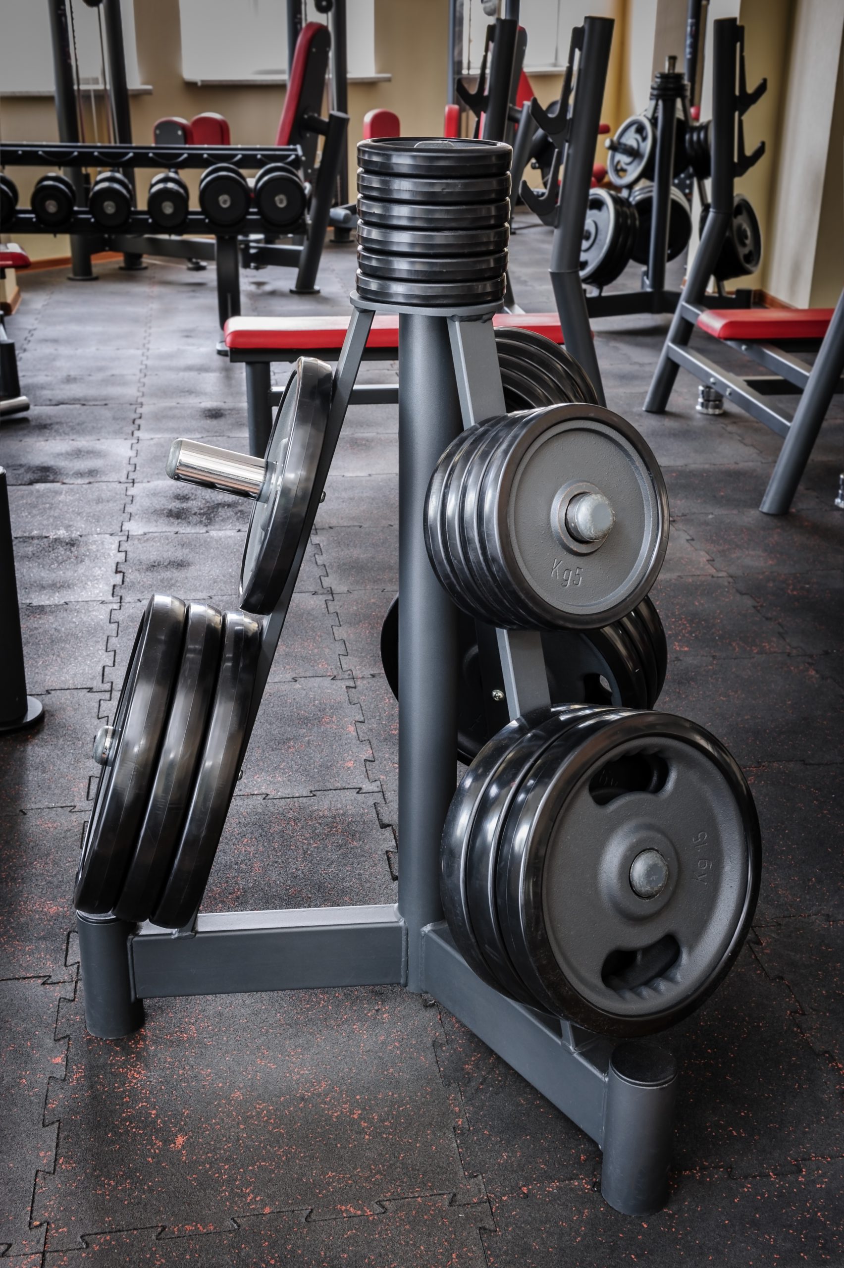 Gym interior with barbell plates holder rack